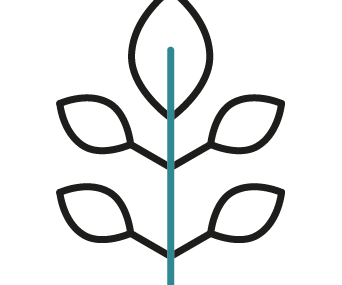 Soil protection