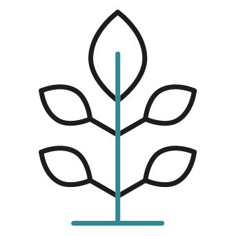 Soil protection