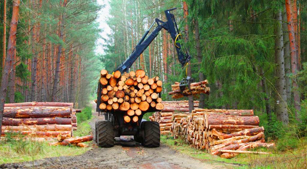 Lumberjack,With,Modern,Harvester,Working,In,A,Forest.,Wood,As